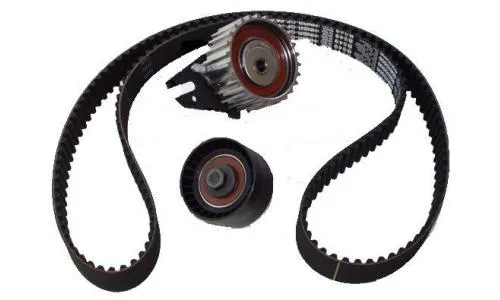Fiat Bravo (97-03) Triger Seti - Eksantrik Kiti 1.8
