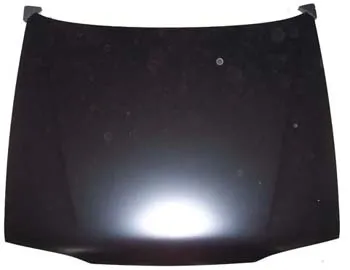 Renault R19 Europa (92-01) Motor Kaputu