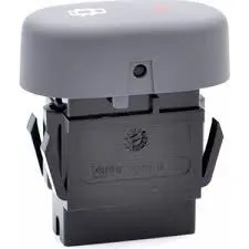 Renault Clio Merkezi Kilit Anahtarı