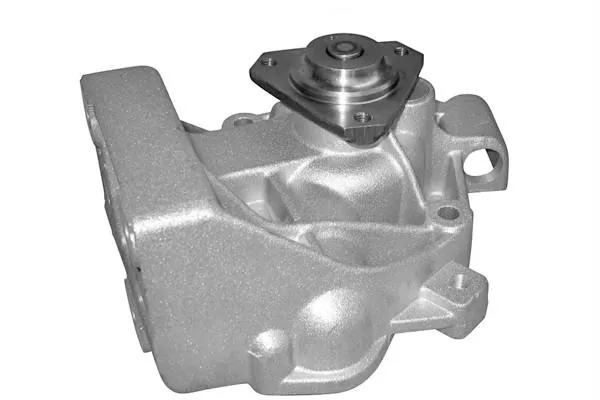 Citroen Jumper (02-07) Devirdaim - Su Pompası 2.8hdı