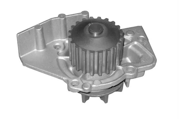 Citroen Zx (91-97) Devirdaim - Su Pompası 1.9