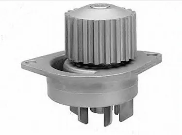 Citroen Saxo (00-03) Devirdaim - Su Pompası 1.5d