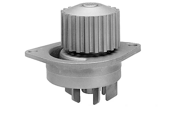 Citroen Saxo (00-03) Devirdaim - Su Pompası 1.6 16v