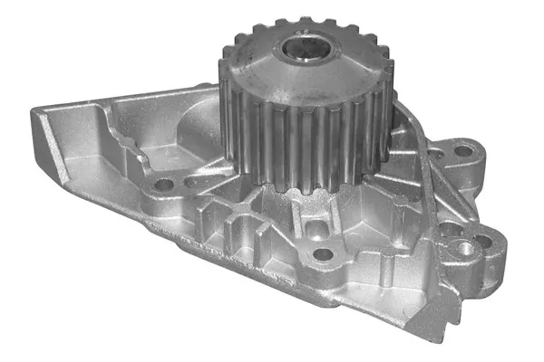 Citroen Xsara (01-05) Devirdaim - Su Pompası 2.0