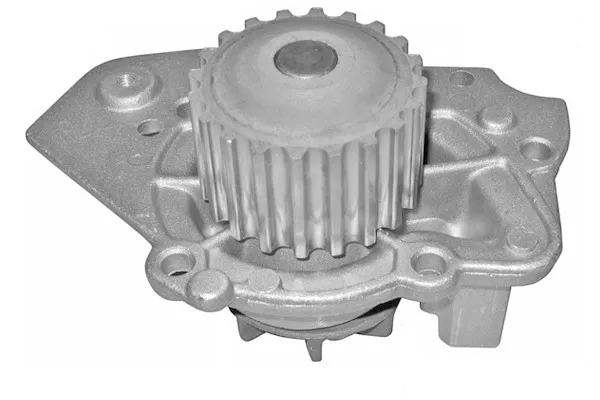 Citroen Zx (91-97) Devirdaim - Su Pompası 1.8